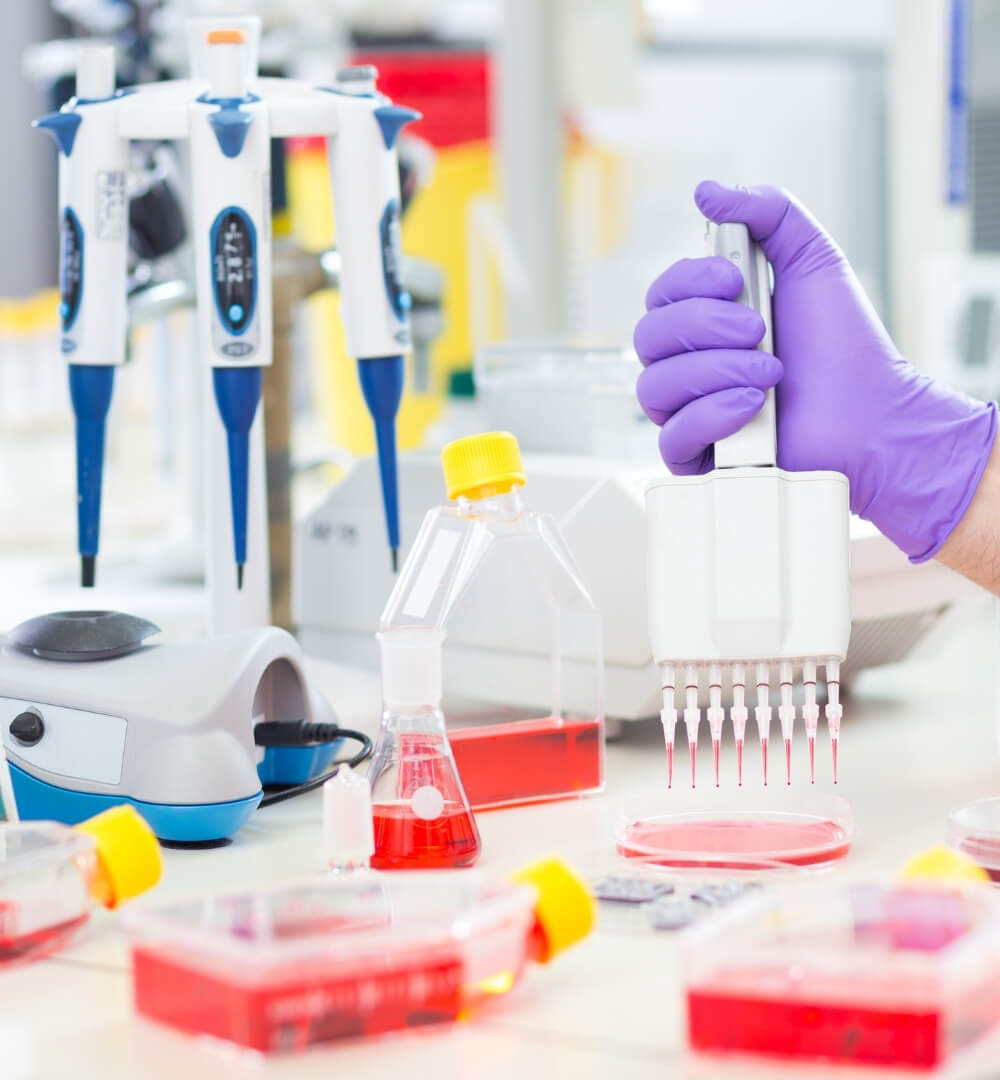 Laboratory Equipment