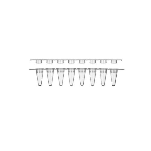8-Strip PCR Tubes